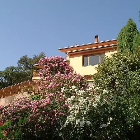 Frühstückspension Patrizia Sul 5*